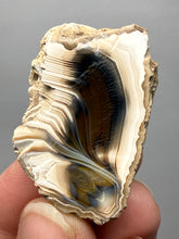 Load image into Gallery viewer, Premium Sumatra Agate (Banded Chalcedony) Display Specimen | Indonesia
