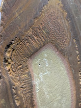 Load image into Gallery viewer, Stromatolite Fossil Slice | Ancient Microbial Reef Structure | Morocco
