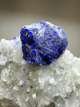Load image into Gallery viewer, Afghan Lazurite Specimen | Deep Blue Lapis-Grade Crystal on Matrix | Collector Display Mineral
