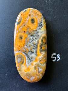 Bumblebee Jasper Agate Palm Stone from West Java, Indonesia • AAA High Grade