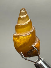 Load image into Gallery viewer, Agatized Gastropod Fossil Specimen | Morocco
