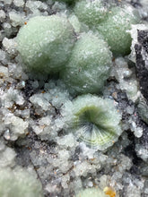 Load image into Gallery viewer, High-Grade Green Wavellite Collectors Specimen - Radiating Botryoidal Crystal Formation - Arkansas, USA
