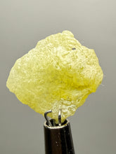 Load image into Gallery viewer, Vibrant Yellow Brucite Thumbnail Mineral Specimen | Collector Crystal from Killa Saifullah District in Balochistan Province, Pakistan
