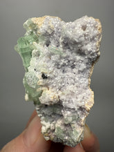 Load image into Gallery viewer, Light Purple Lepidolite with Light Green Tourmaline on Matrix – Pakistan Mineral Specimen | Collector Grade

