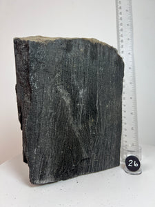 Black Druzy Petrified Wood from Indonesia