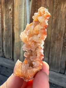 Orange Gem Heulandite • Maharashtra, India