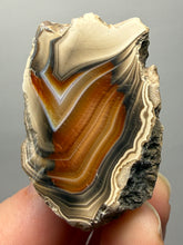 Load image into Gallery viewer, Premium Sumatra Agate (Banded Chalcedony) Display Specimen | Indonesia
