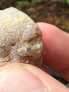 High-Grade Parallax Banded Laguna Agate – Bright Orange, Red, & White Banding from Mexico