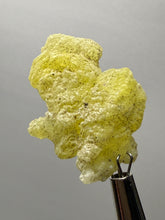 Load image into Gallery viewer, Vibrant Yellow Brucite Thumbnail Mineral Specimen | Collector Crystal from Killa Saifullah District in Balochistan Province, Pakistan
