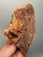 Load image into Gallery viewer, Chalcedony Quartz Rose Agate Collector Mineral Specimen – Morocco
