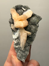 Load image into Gallery viewer, Pink Stilbite Druzy on Botryoidal Black Chalcedony | India | High-Grade Mineral Collector Specimen
