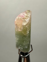 Load image into Gallery viewer, Raw Bi-Color Tourmaline Crystal Specimen | Ocean View Mine, Pala, California, USA
