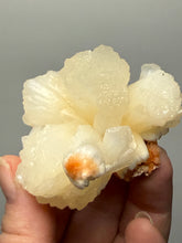 Load image into Gallery viewer, Cream Stilbite Flower on
Orange Heulandite Zeolite Cluster – India (Collector Mineral Specimen)

