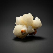 Load image into Gallery viewer, Cream Stilbite Flower on
Orange Heulandite Zeolite Cluster – India (Collector Mineral Specimen)
