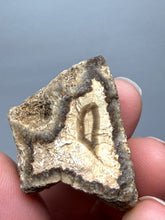 Load image into Gallery viewer, Premium Sumatra Agate (Banded Chalcedony) Display Specimen | Indonesia
