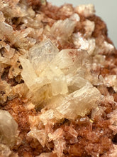 Load image into Gallery viewer, Shiny Peach Stilbite on Druzy Red Heulandite – High-Grade Collector Mineral Specimen from India

