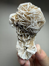 Load image into Gallery viewer, Desert Rose Selenite (Gypsum) — Mineral Display Specimen | Mexico
