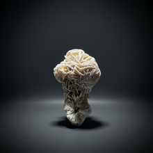 Load image into Gallery viewer, Desert Rose Selenite (Gypsum) — Mineral Display Specimen | Mexico

