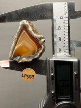 Load image into Gallery viewer, Premium Sumatra Agate (Banded Chalcedony) Display Specimen | Indonesia
