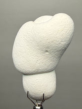 Load image into Gallery viewer, Chichaoua Menalite “Fairy Stone” Concretion | Natural Collector Display Specimen | Morocco
