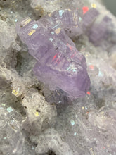Load image into Gallery viewer, Purple Apatite on Matrix Collector Mineral Specimen from Paprok, Afghanistan

