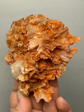 Load image into Gallery viewer, Chalcedony Quartz Rose Agate Collector Mineral Specimen – Morocco
