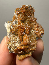 Load image into Gallery viewer, Natural Vanadinite on Matrix | Collector Mineral Specimen | Morocco
