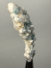 Load image into Gallery viewer, Blue-Green Chrysocolla in Botryoidal Chalcedony Cabinet Specimen | Indonesia

