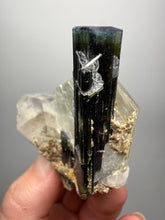 Load image into Gallery viewer, Blue Cap &amp; Green Cap Dark Green Stak Nala Tourmaline on Cleavelandite Matrix – Haramosh Mountains, Pakistan
