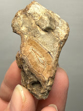 Load image into Gallery viewer, Premium Sumatra Agate (Banded Chalcedony) Display Specimen | Indonesia
