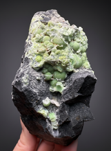 Load image into Gallery viewer, High-Grade Green Wavellite Collectors Specimen - Radiating Botryoidal Crystal Formation - Arkansas, USA
