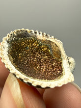 Load image into Gallery viewer, Bivalve (Pelecypoda) Fossil Sea Shell with Chalcopyrite | Mineralized Fossil Specimen | Indonesia
