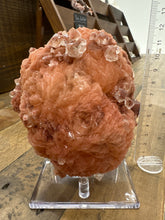 Load image into Gallery viewer, Red Druzy Apophyllite in Stilbite Flower VERY RARE
