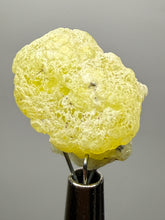 Load image into Gallery viewer, Vibrant Yellow Brucite Thumbnail Mineral Specimen | Collector Crystal from Killa Saifullah District in Balochistan Province, Pakistan
