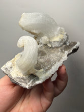 Load image into Gallery viewer, RARE COMBO Moroccan Ram’s Horn Selenite (Gypsum) with Yellow Botryoidal Fluorite Display Specimen
