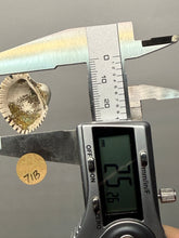 Load image into Gallery viewer, Bivalve (Pelecypoda) Fossil Sea Shell with Chalcopyrite | Mineralized Fossil Specimen | Indonesia
