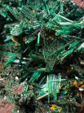 Load image into Gallery viewer, Brochantite Collector Mineral Specimen – Vivid Green Copper Crystals from Morocco
