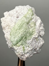Load image into Gallery viewer, Purple Lepidolite with Light Green Tourmaline on Matrix – Pakistan Mineral Specimen | Collector Grade
