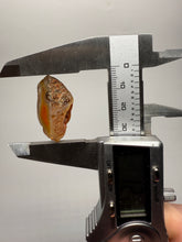 Load image into Gallery viewer, Lot of 9 Small Malawi Agate Halves – Polished Rare Colorful Collector Specimens
