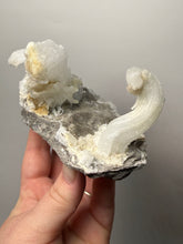Load image into Gallery viewer, RARE COMBO Moroccan Ram’s Horn Selenite (Gypsum) with Yellow Botryoidal Fluorite Display Specimen
