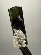 Load image into Gallery viewer, Blue Cap Green Cap Stak Nala Tourmaline with Cleavelandite – Haramosh Mountains, Pakistan | Thumbnail Specimen
