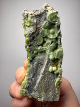 Load image into Gallery viewer, High-Grade Green Wavellite Collectors Specimen - Radiating Botryoidal Crystal Formation - Arkansas, USA
