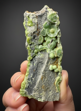 Load image into Gallery viewer, High-Grade Green Wavellite Collectors Specimen - Radiating Botryoidal Crystal Formation - Arkansas, USA
