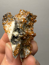 Load image into Gallery viewer, Natural Vanadinite on Matrix | Collector Mineral Specimen | Morocco
