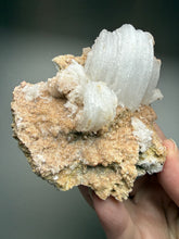 Load image into Gallery viewer, Moroccan Ram’s Horn Selenite (Gypsum) Crystal Display Specimen
