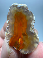 Load image into Gallery viewer, Lot of 4 Small Malawi Agate Halves – Polished Rare Colorful Collector Specimens
