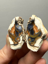 Load image into Gallery viewer, Premium Sumatra Agate Pair (Banded Chalcedony) Display Specimen | Indonesia
