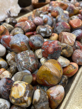 Load image into Gallery viewer, TUMBLE • Cobra Jasper
