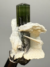 Load image into Gallery viewer, Dark Green Stak Nala Tourmaline and Cleavelandite – Haramosh Mountains, Pakistan | Thumbnail Specimen
