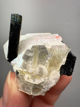 Load image into Gallery viewer, Dark Green Cap Stak Nala Tourmaline on Cleavelandite Matrix – Haramosh Mountains, Pakistan
